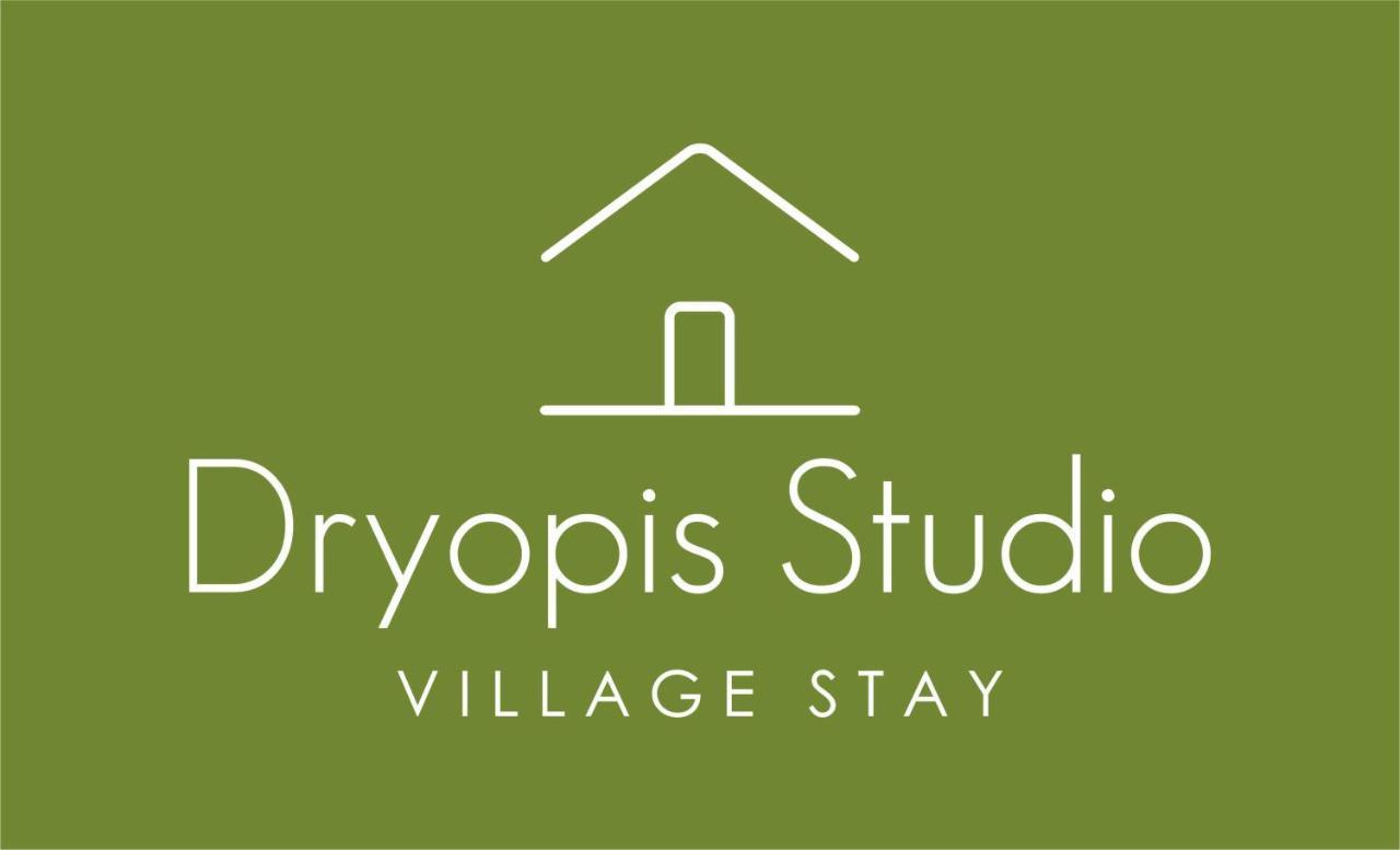 Dryopis Studio Δρυόπη Εξωτερικό φωτογραφία